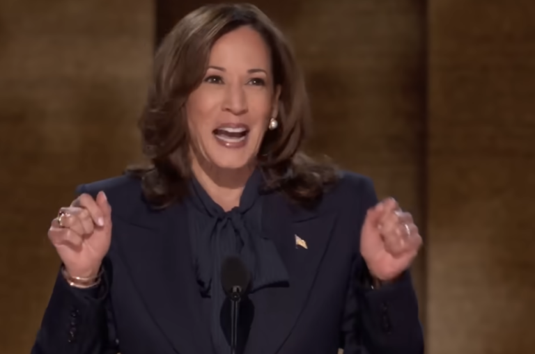 What I, like millions, saw at the DNC from watching it on TV